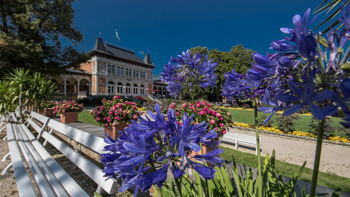 Blütenzauber vor dem Königlichen Kurhaus Bad Elster